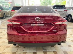 Xe Toyota Camry 2.5Q 2020