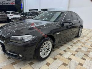 Xe BMW 5 Series 520i 2014